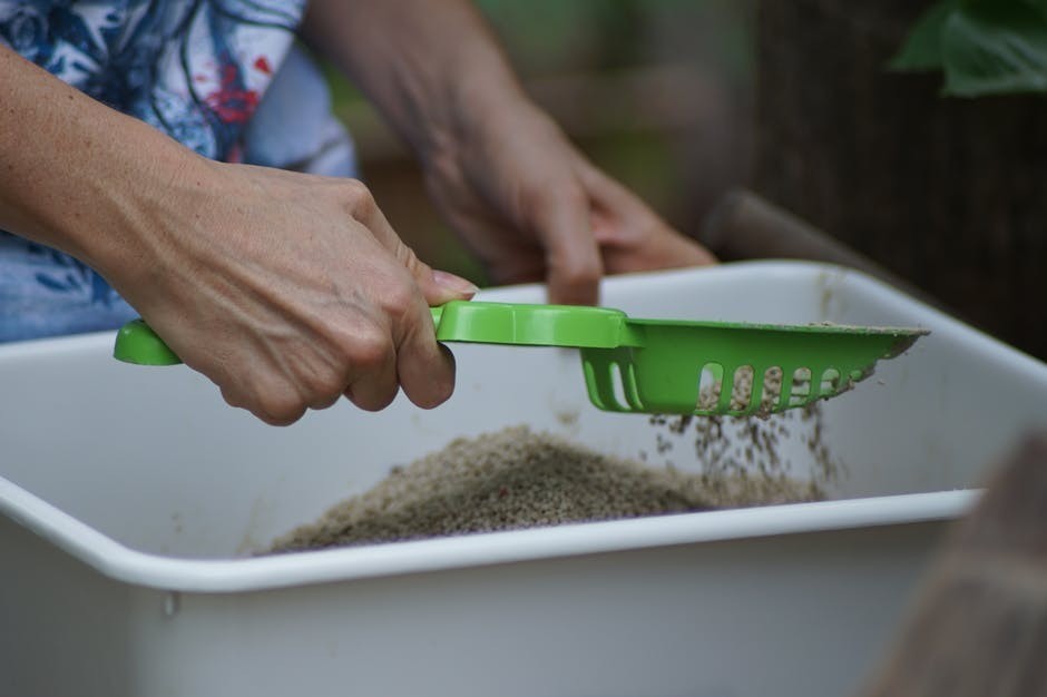 How To Keep A Litter Box From Smelling - Bullock Ementer