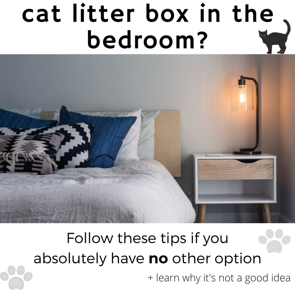 Can You Keep A Cat Litter Box In Your Bedroom Why It S Not