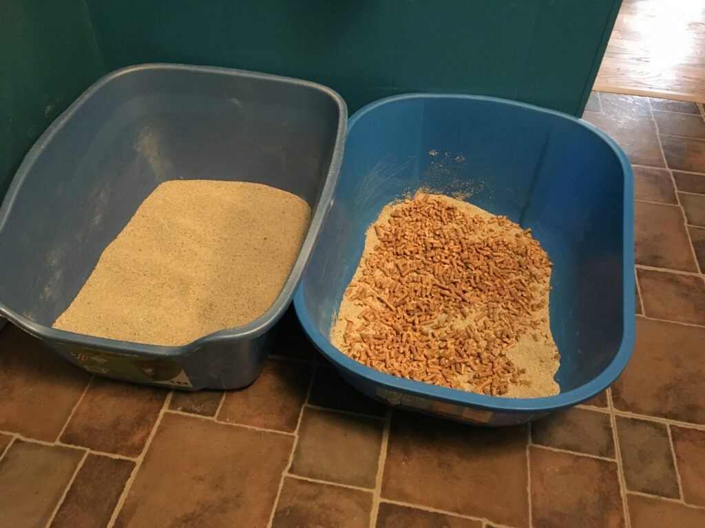 My Totally Failed Transition to Pine Pellet Cat Litter Happy