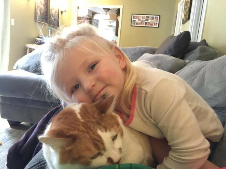 Are Cats Good for Kids? What You Need to Know (Plus My Experience