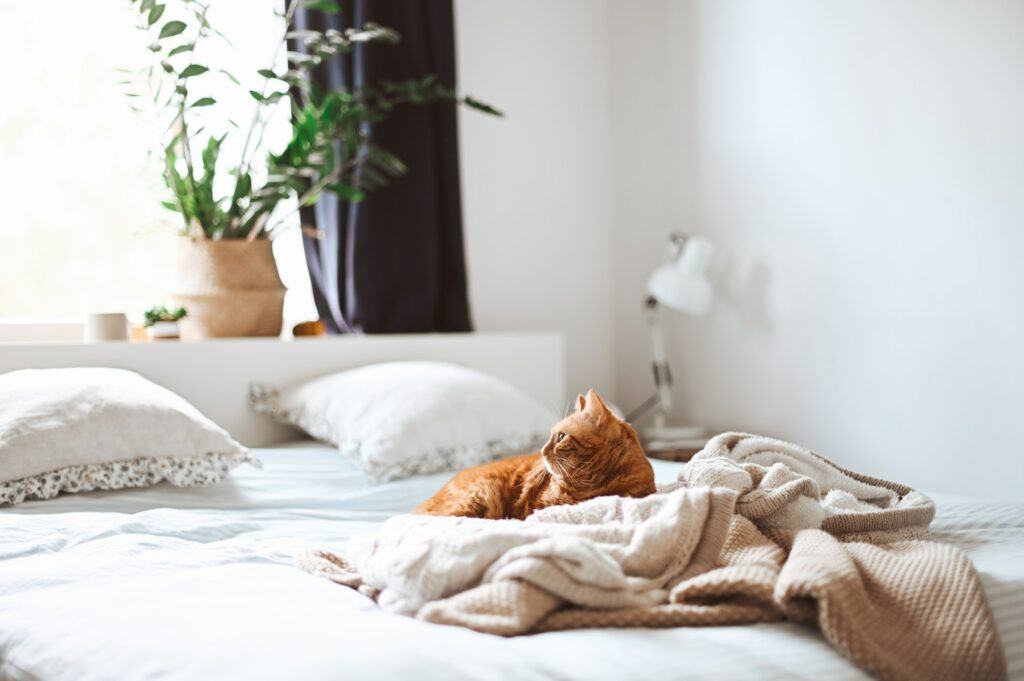 Your Guide to Bedding That Repels Cat (and Dog) Hair | Happy Cat Corner