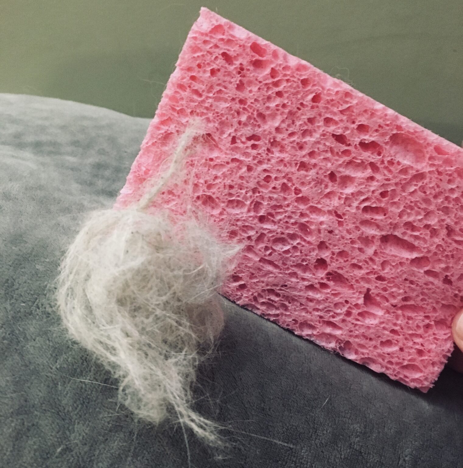 I Tried These 7 Tricks to Get Rid of Cat Hair (This is What Happened