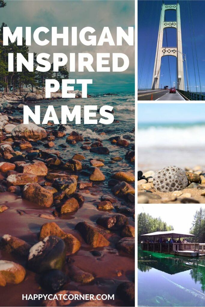 michiganthemedcatnames1 Happy Cat Corner