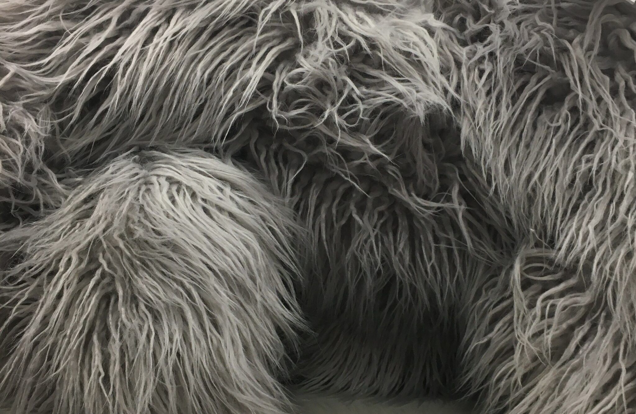 Your Guide to Bedding That Repels Cat (and Dog) Hair Happy Cat Corner