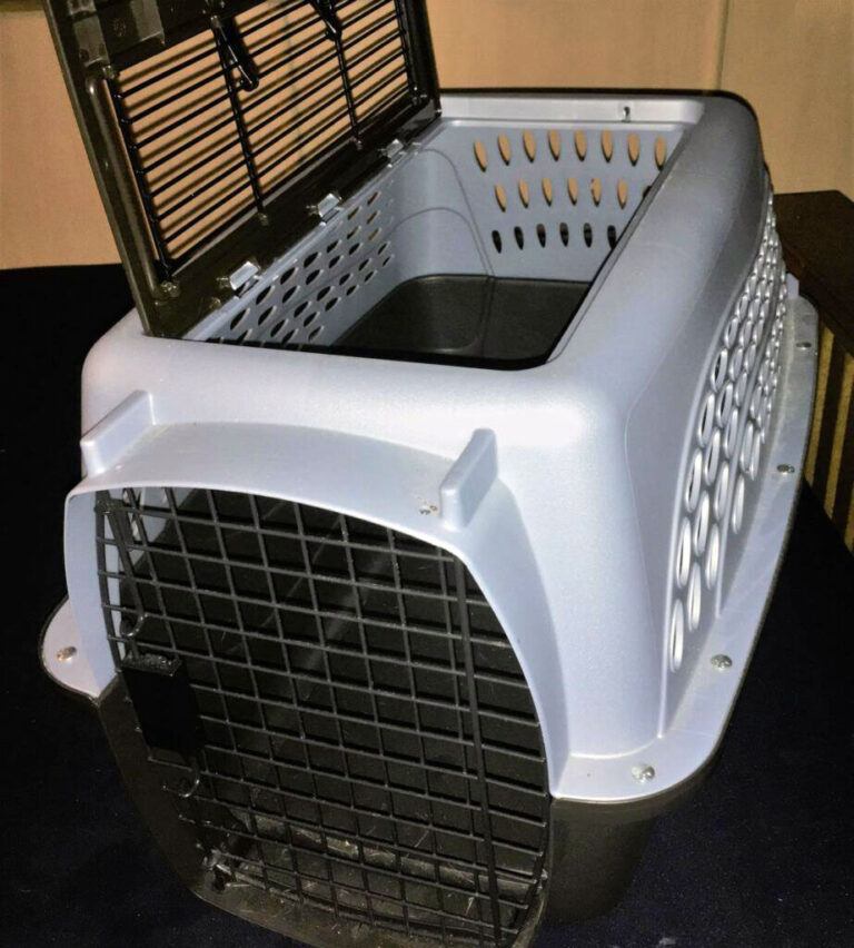 topentrycatcarrier Happy Cat Corner