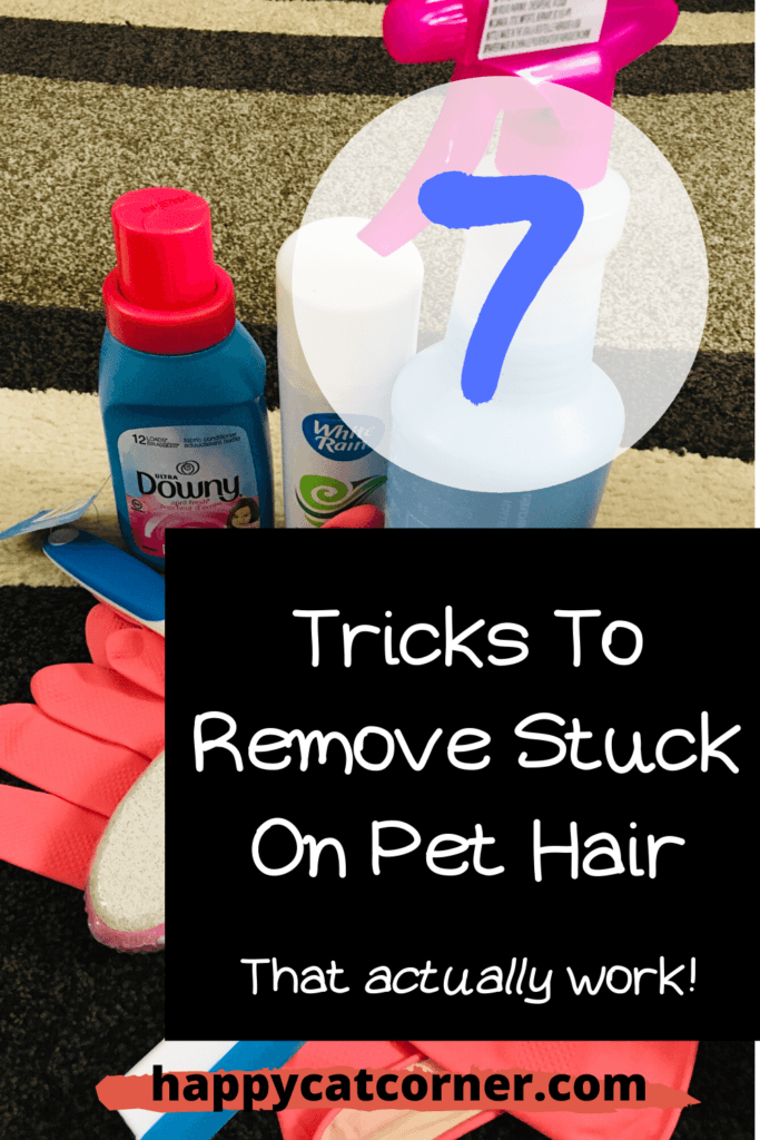 I Tried These 7 Tricks to Get Rid of Cat Hair (This is What Happened) |  Happy Cat Corner