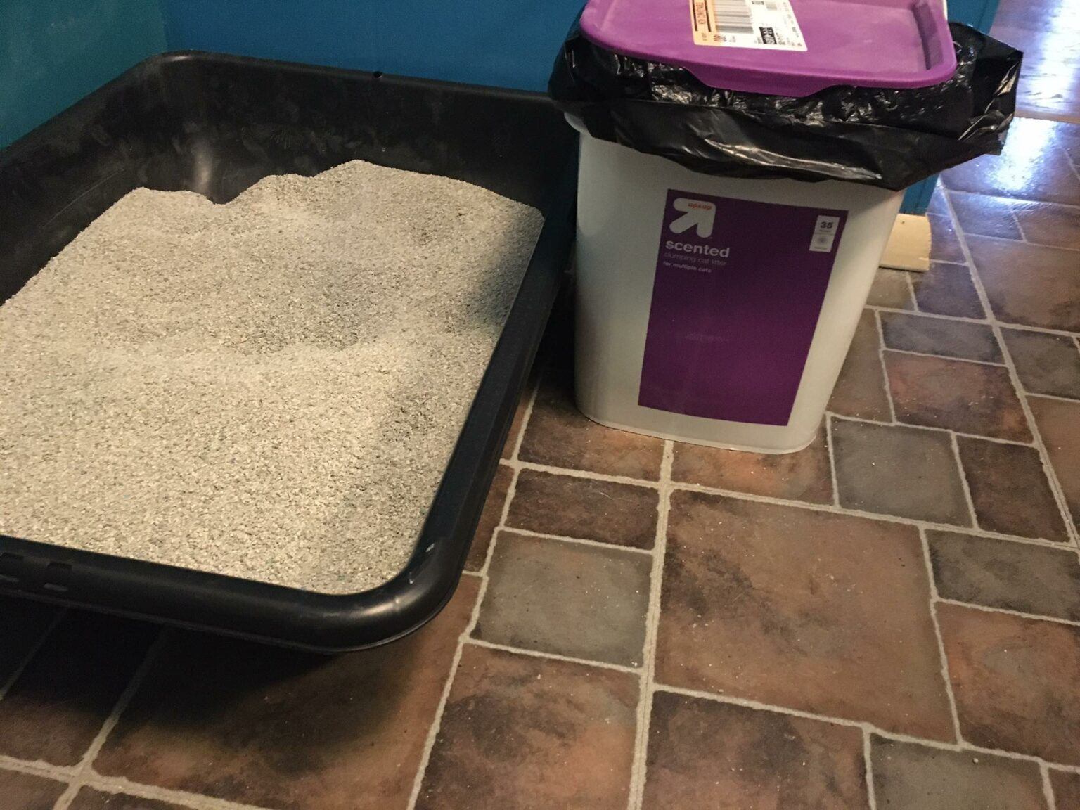 How to Clean Out the Litter Box Without Plastic Bags Happy Cat Corner