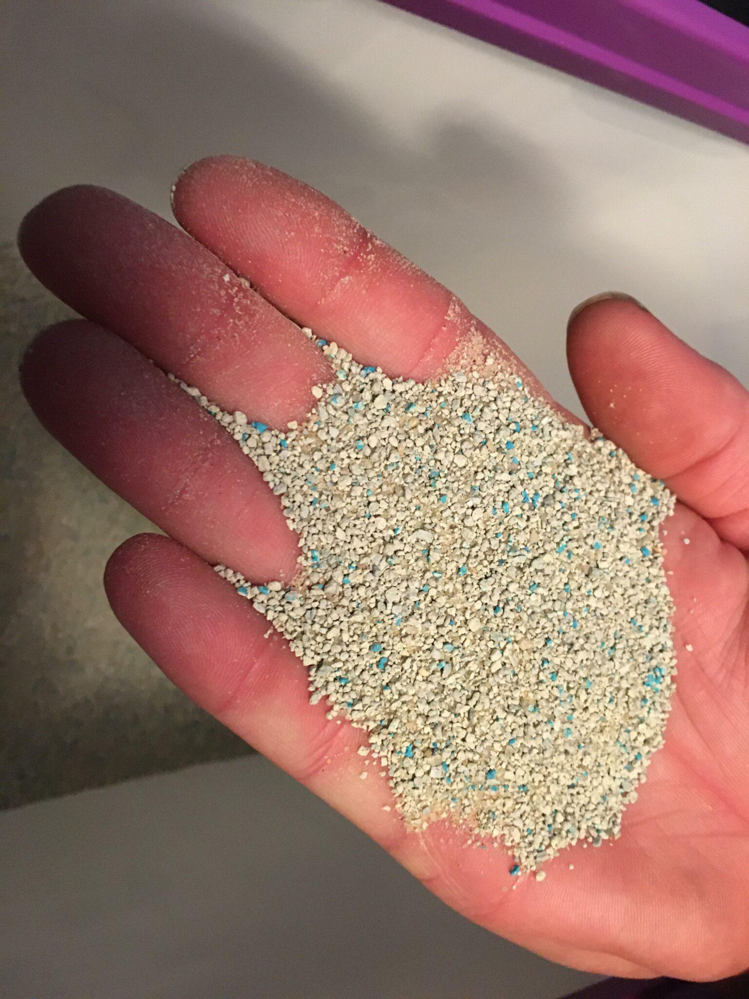 upandupclumpingmulticatlittergrainsize Happy Cat Corner