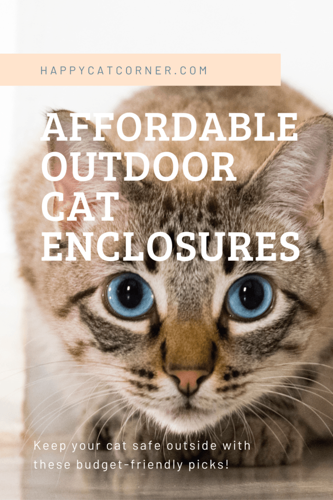 Affordable Outdoor Cat Enclosures Happy Cat Corner   Affordable Outdoor Cat Enclosures 683x1024 