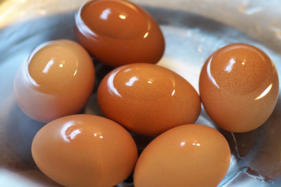 Boiled egg outlet for cats