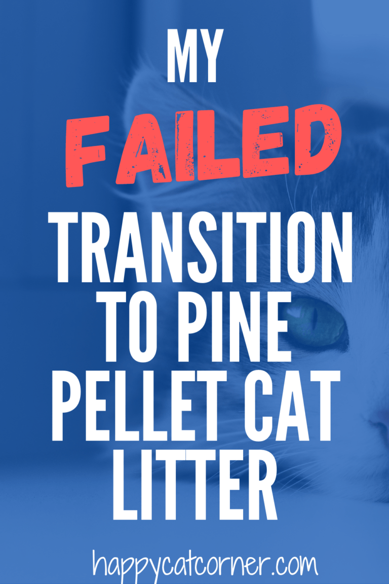 My (Totally Failed) Transition to Pine Pellet Cat Litter Happy Cat Corner