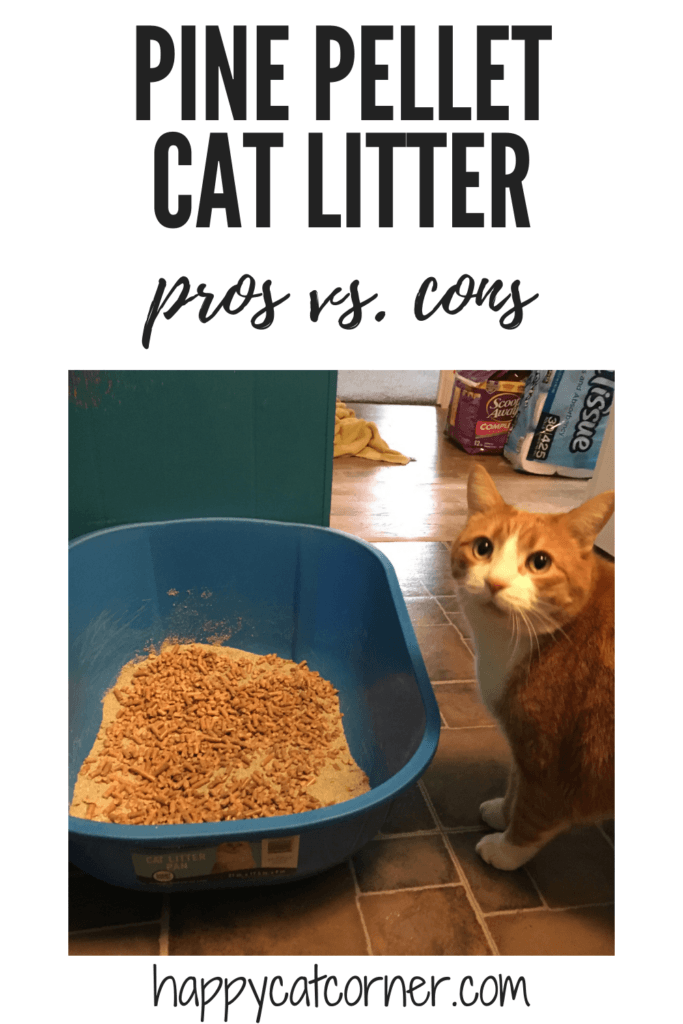 pros vs cons pine pellet cat litter