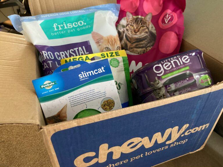 6 Cat Litter Delivery Services for 2021 Happy Cat Corner