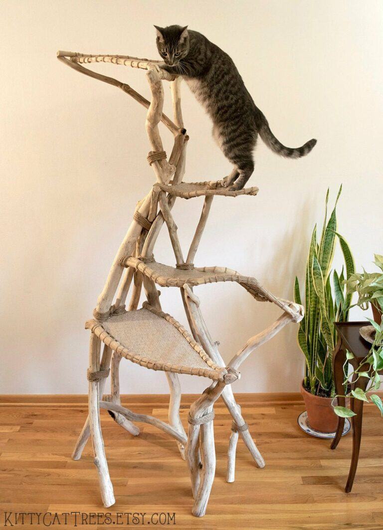 Amazing Cat Trees and Where to Find Them | Happy Cat Corner